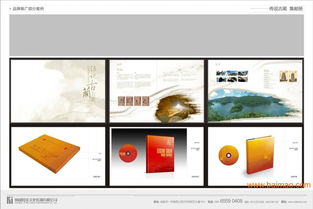 金牛區(qū)專業(yè)設(shè)計(jì)服務(wù) 打造企業(yè)品牌形象的全面解決方案